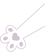 Dog and Cat Clinic Vellore