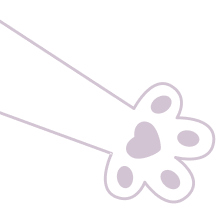 Dog and Cat Clinic Vellore