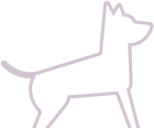 Dog and Cat Clinic Vellore